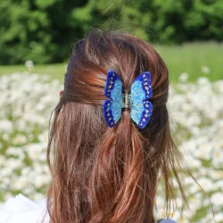 Morpho h�rklemme, bl�