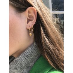 Forgyldte reringe med zirkon