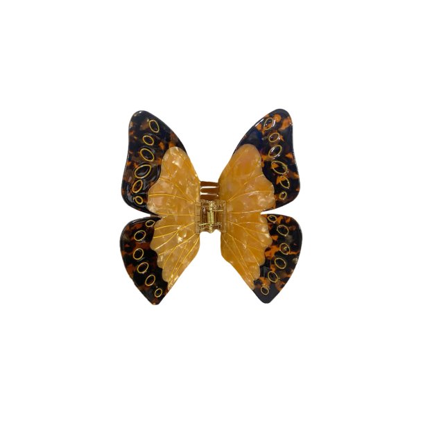 Morpho hrklemme, brun