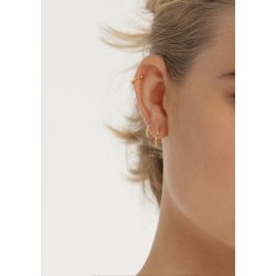 Forgyldte reringe med sm kugler